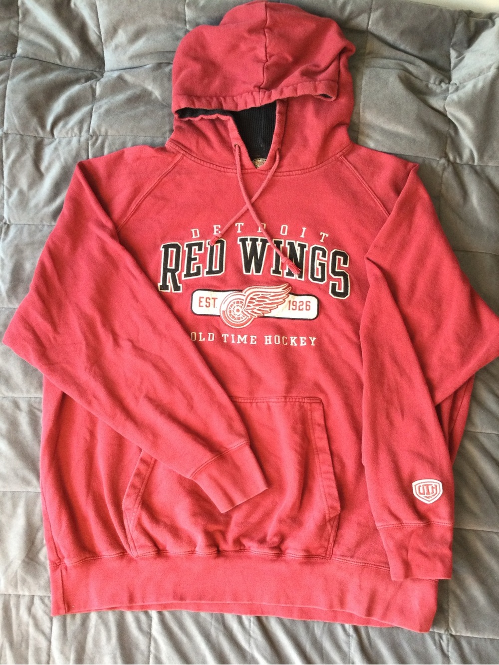 Vintage Detroit Red Wings Hoodie Sweatshirt
